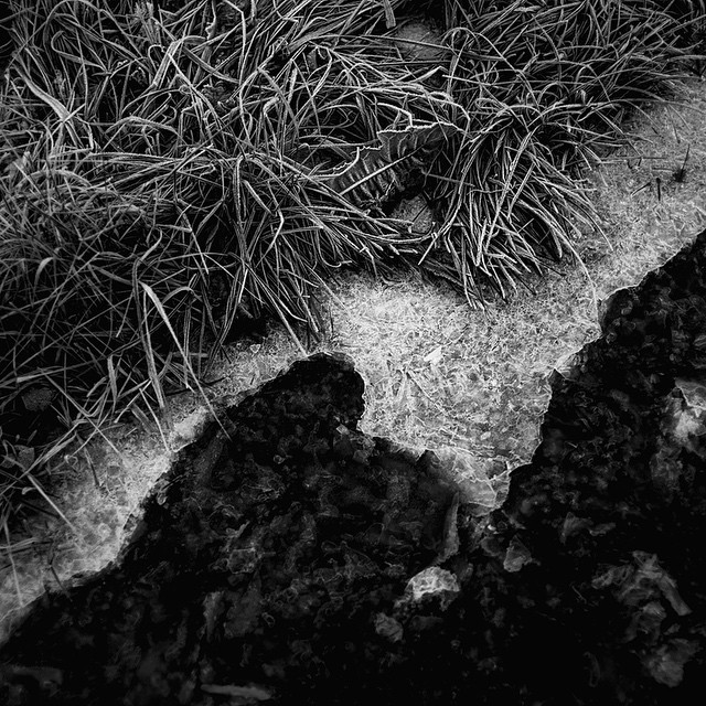 God forsättning till alla hjältar and Merry Christmas to all friends in the general western direction. #leica #M-E #blackandwhite #frost #ice #zeiss #winter (på/i Edsviken)