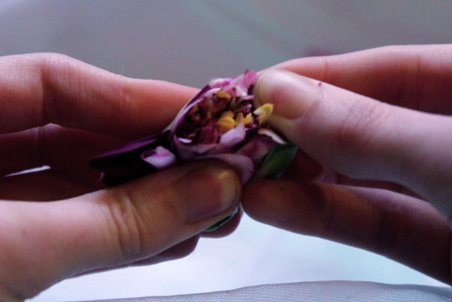 princex-misdreavus: For Every Flower Forced To Bloom, 2013  digital film stills i have never fe