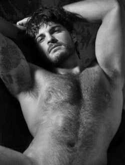 Hairy Men Pix