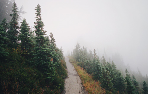 scenes from the pnw by Danielle  Nelson