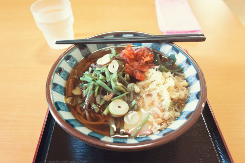 山菜蕎麦Sansai soba/udon is one of my favourite dishes to have, either hot or cold (I prefer udon but I 