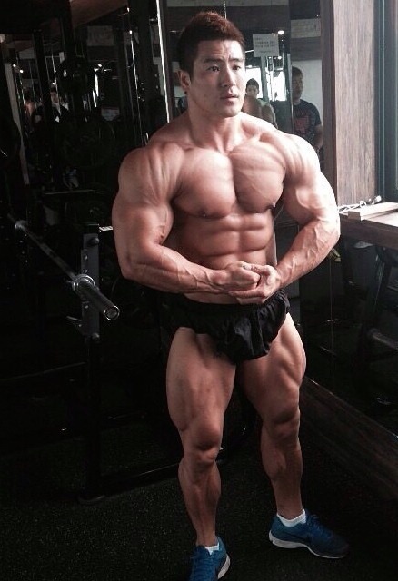 muscle lover