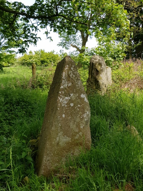 Berrybrae Recumbent Stone Circle, nr Fraserburgh,Scotland, 29.5.18. A beautifully located circle tha