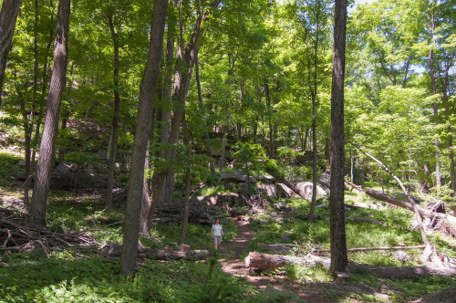 I was lucky enough to have three solid hiking adventures this weekend: Six Mile Run, Ramapo Mountain