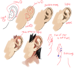 Kelpls:  Umm People Asked About Noses And Ears So Yeah!!  Please Look Up Real References