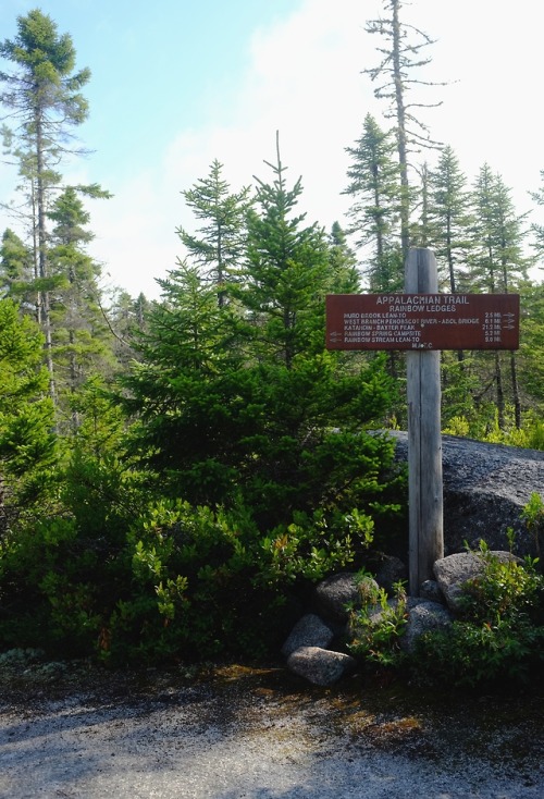 getting close to the appalachian trail southern terminus. i was half-starved and foraging for bluebe