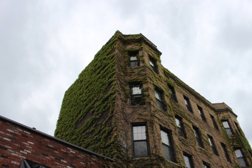 nick-avallone: finding green in the city can be hard sometimes but these buildings make me happy