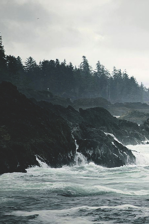 infamousgod:   rough seas. by kvdl     