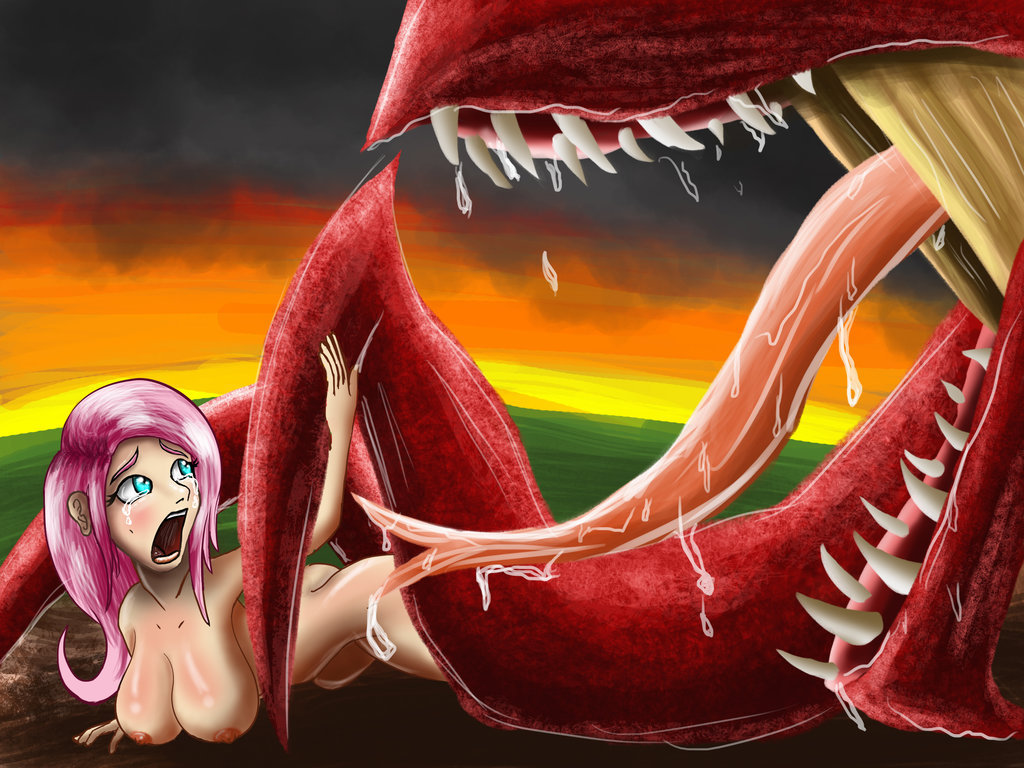 womenasfood:  https://forevernyte.deviantart.com/gallery/46320995/DragonShy