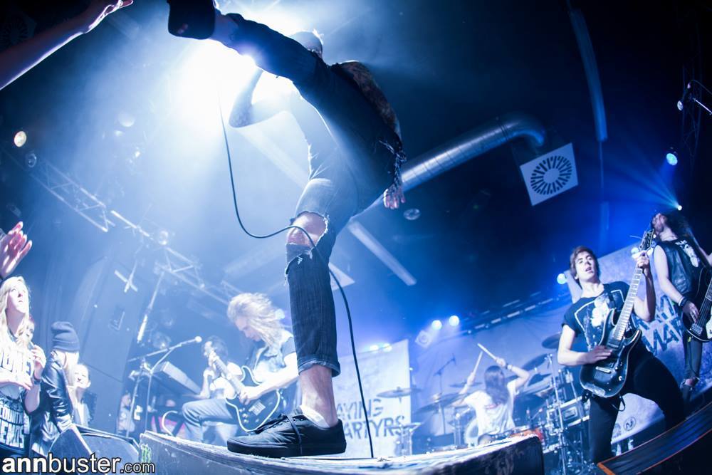tab00heart:  Betraying the Martyrs by Ann Buster  