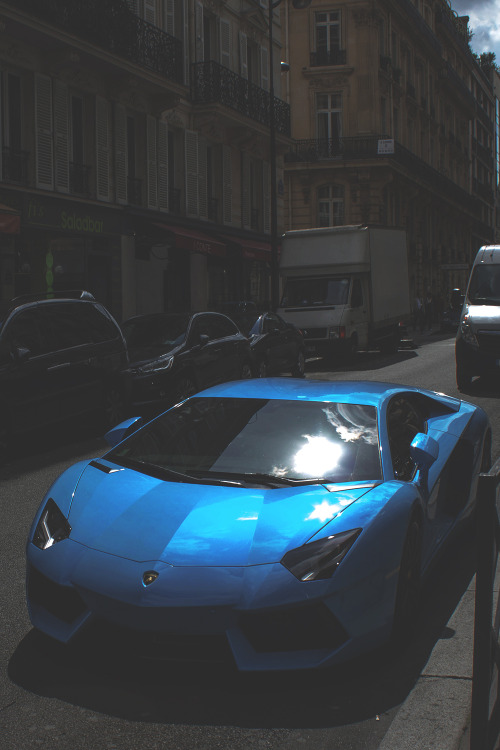 envyavenue:  Monsieur Aventador | Photographer