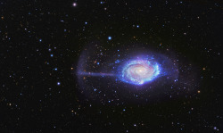 the-wolf-and-moon:  Umbrella Galaxy