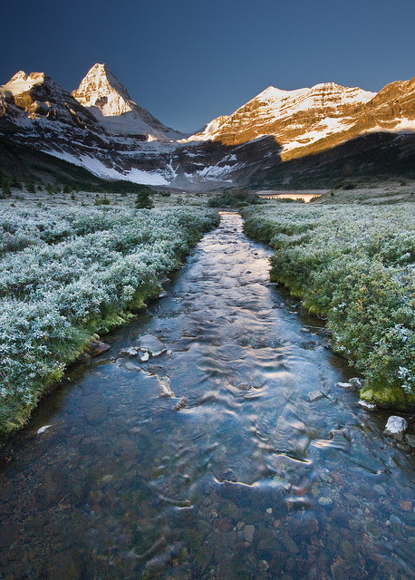tulipnight:  Cold River by Jeff Pang on Flickr.