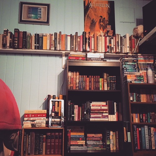 missdarcy87:I might be a little obsessed with my newly arranged shelves.