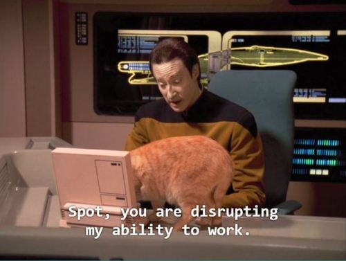 ace-aro-fandroid:Data beginning to malfunction in one of TNG’s most-loved off-the-wall-goofy episode