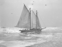 ghostsailors:  The fishing boat ‘Pioneer’