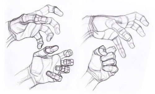 XXX anatoref:  Hand Studies  photo