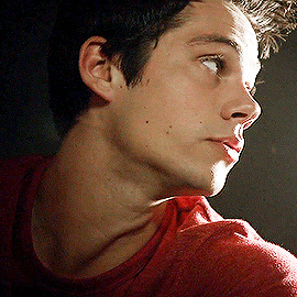 theoraeken: no one:  absolutely no one:   me: omg dylan’s nose!!!!