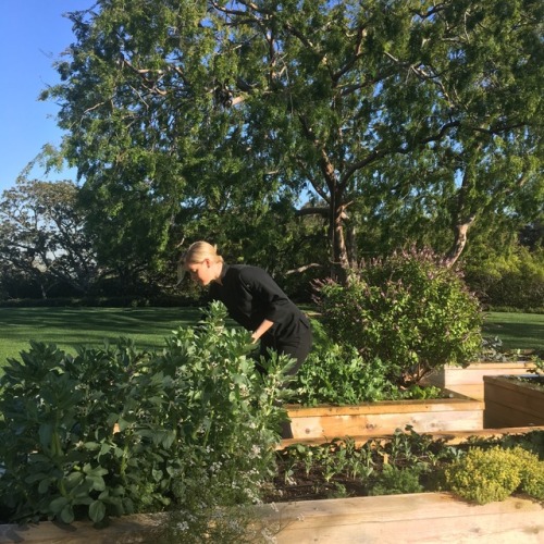 Wednesday in the garden with chef Maria Ojala