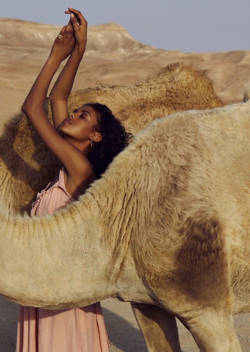 pocmodels:Alyssa Traore by Pablo Delfos for Elle Netherlands July , 2018