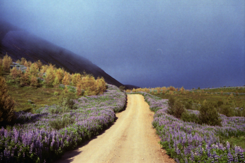 Porn photo expressions-of-nature:  Botnsvatn, Iceland