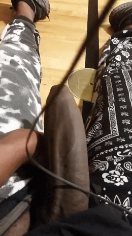 biggerthanyobf:  Me at the gym. Gif courtesy of @paysworshiptobbc