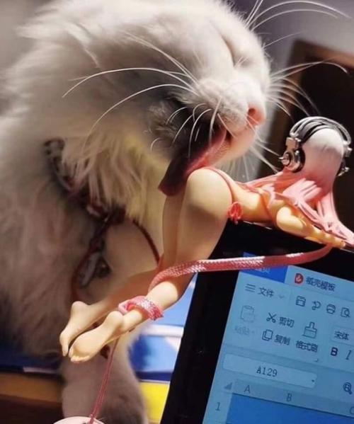 Picsthatmakeyougohmm:blursed_Cat