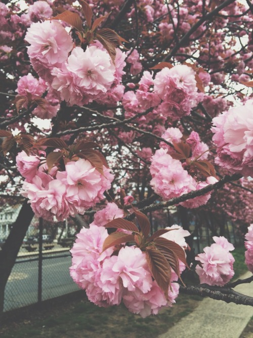 deycallmetrey:  Good morning