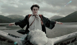phoebebuffaye: Hermione, when have any of our plans ever actually worked? We plan, we get there, all