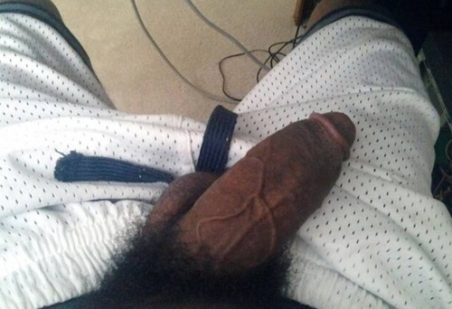 zellking:  Hairy fat dick “Tumblr is only for Gay porn” Follow mehttp://zellking.tumblr.com/ 