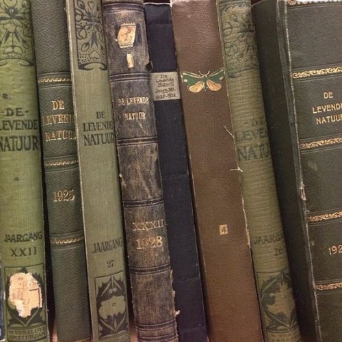 Ya Yanmda Kal; Kek Yapalm, Kitap Okuyalm