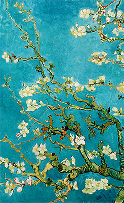 eating-infected-mushrooms:   Vincent van Gogh - From ‘Almond Blossoms’ Series (1888-1890)   @