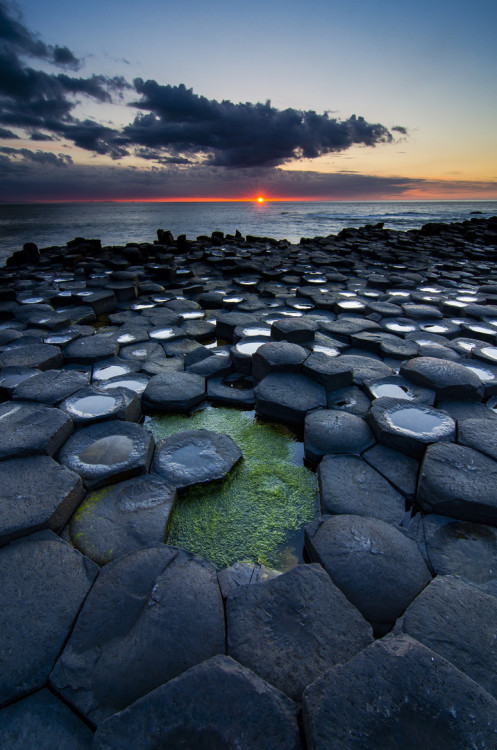 ata-raxie:Causeway Sunset by Graham Kelly