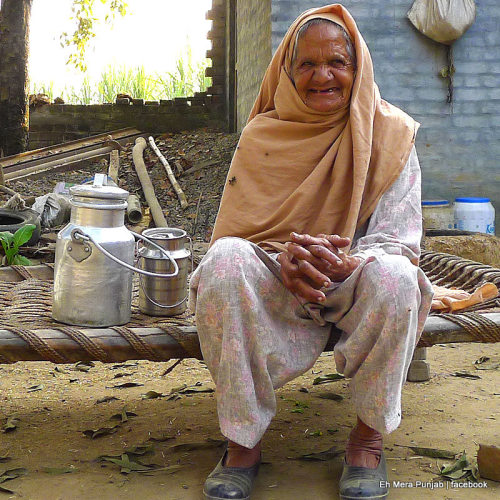ehmerapunjab:  Old woman in Punjab, happy and content with life living on the farm. 