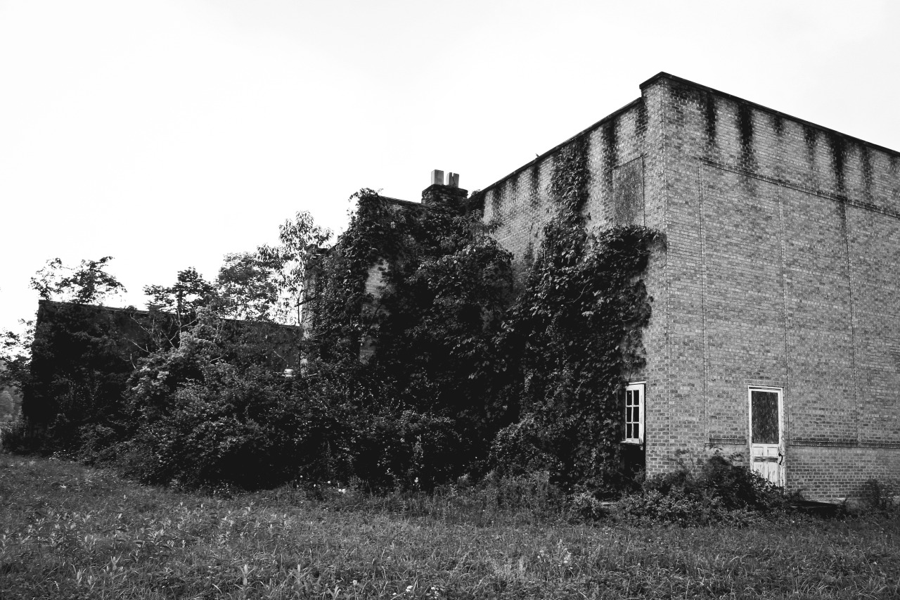 abandonedappalachia:  Windsor Grade School No. 1Closed in 1994Windsor, Ohio