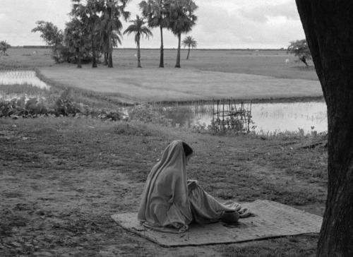 verachytilovas:APARAJITO ‘অপরাজিত’ (1956) dir. Satyajit Raycinematography by Subrata Mitra