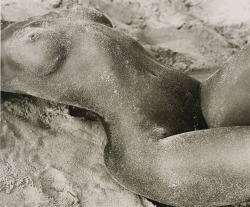 snowce:  Herb Ritts, Torso Horizontal, Atlantic