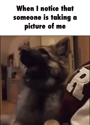 AND NOTHING ELSE MATTERS