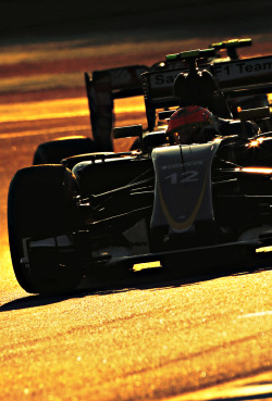 f1championship:  Felipe Nasr l Abu Dhabi 2015 