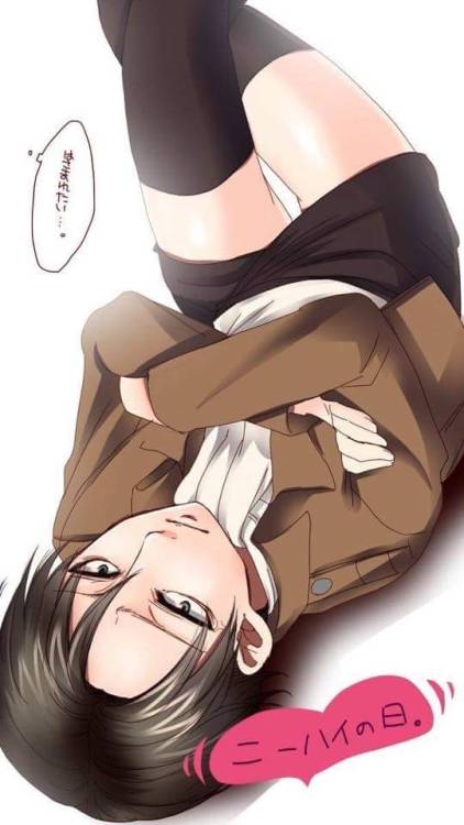 heichou