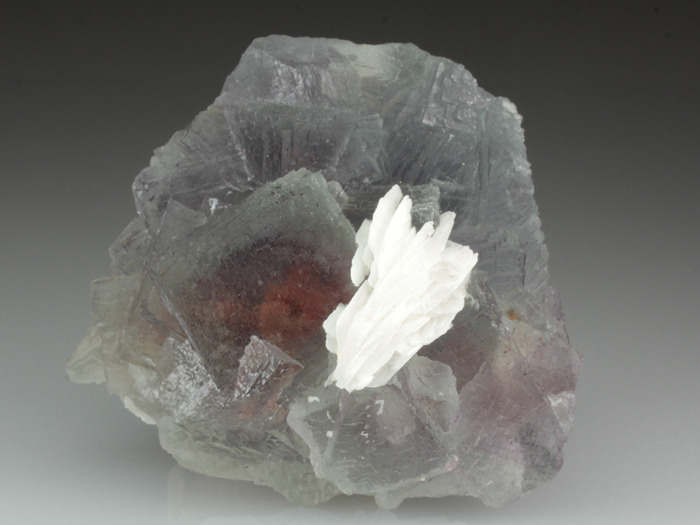 mineralists:  Beautiful specimen of Fluorite displaying a purple-pink phantom in