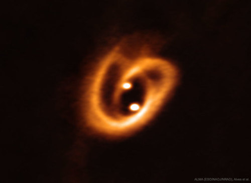 space-pics:ESO’s Atacama Large Millimeter Array (ALMA) recently captured one of the highest resoluti
