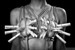 Art of Shibari