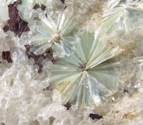 Pyrophyllite - Switzerland