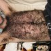 Porn Pics papillon52::Beautiful Hairy Chest