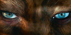 sseuregis:FILMS I WATCHED IN 2014↳ La belle et la bête“Do you think that, with a little patien