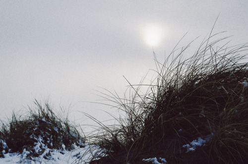 Somewhere in Denmark, March 2018 | Liseleje strand, NordsjællandWebsite | Instagram