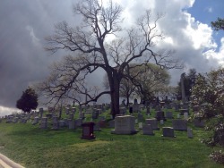 grotesquebabydoll2:  Arlington National Cemetery (April 2012)   This is definately one of the most breathtaking cemeteries ive been to yet 