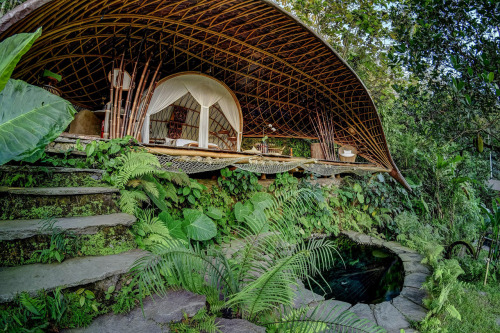 Made in Bali: Escape Reality at an Open-Air Bamboo Dome in the JungleOtherworldly bamboo architectur