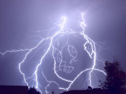 kinkshamer69:cooldudebro:is the joke that it looks like a beaver person looking back over its shoulder and shaking its fist or is it just a photo of lightning i genuinely cant tellit’s god’s fursona